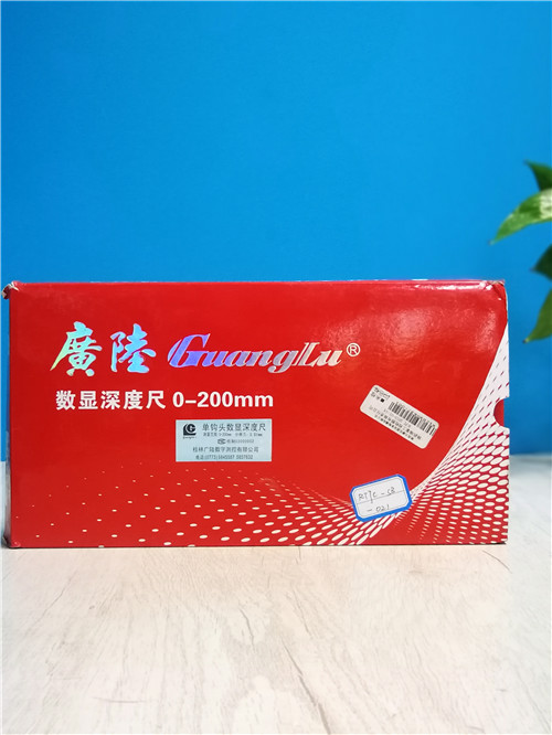 单钩头数显深度尺.jpg
