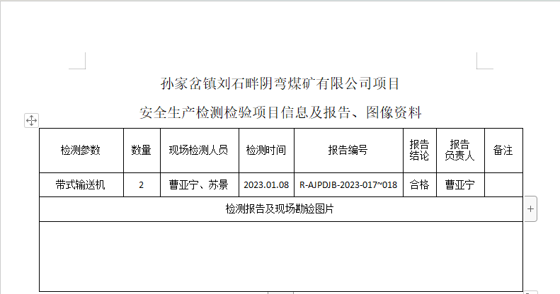 报告信息.png