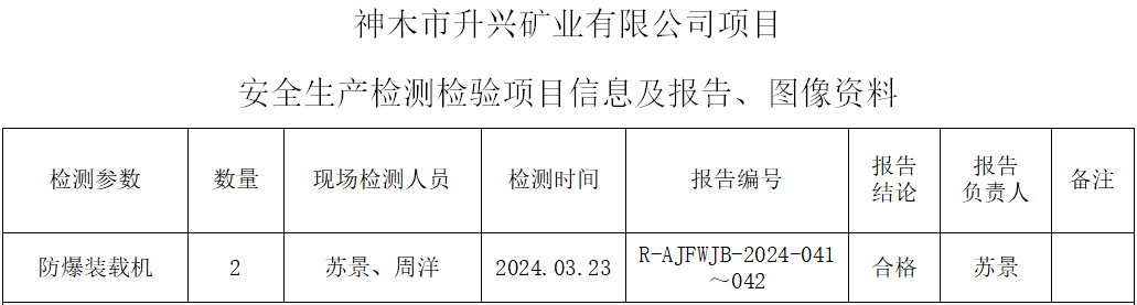 报告信息截图.png